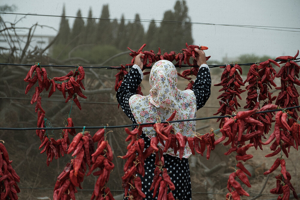 Nabila dries chilli pepper that she will use for the harissa paste. DVV International. ©Augustin Le Gall