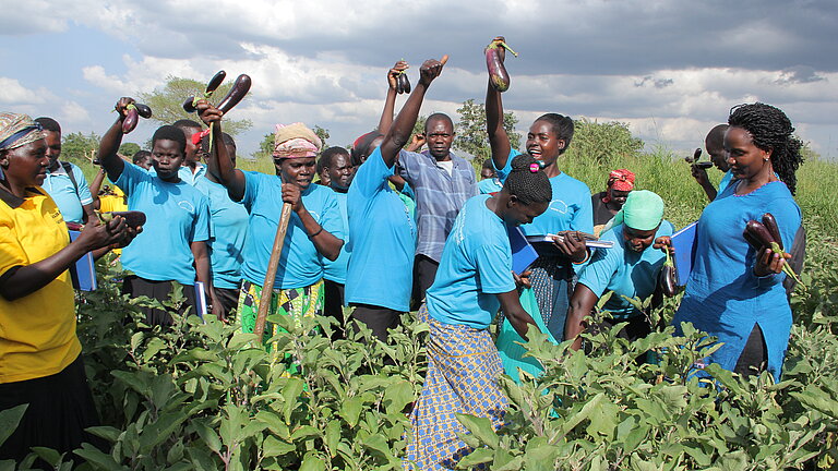 Group of people in their garden raising eggplants to the sky