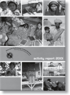 activity report 2001
