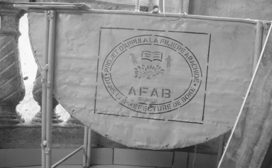 AFAB