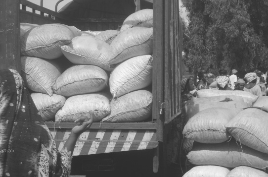 Transporte de cacahuetes au mercado