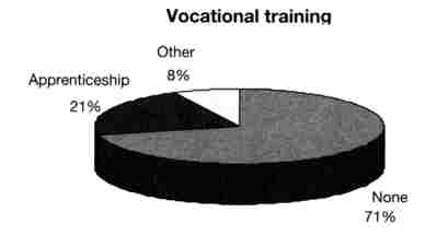 Graphic: Vocational training