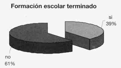 Gráfico: Formación escolar terminado