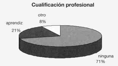 Gráfico: Cualificación profesional